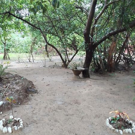 Bed and Breakfast Little Baobab Abémé Exterior foto