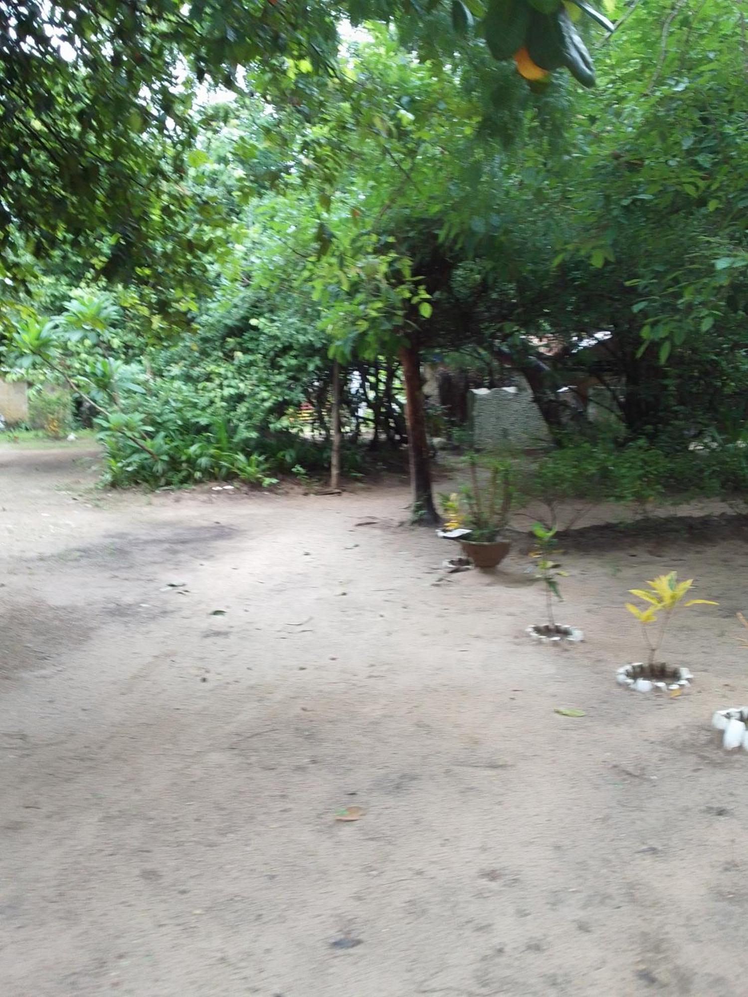 Bed and Breakfast Little Baobab Abémé Exterior foto